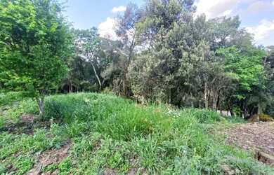 Imagem 3: Venda de Terreno em Condomínio em Caxias do Sul-RS, bairro Linha 40
