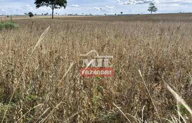 Imagem 7: Fazenda 403 Alqueires 1.950 hectares Aparecia do Rio Doce - GO