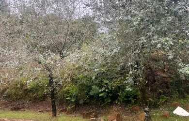 Imagem 13: Terreno - Bairro Vale das Colinas