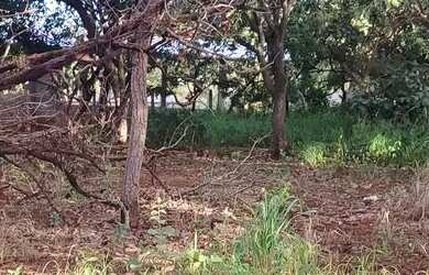 Imagem 8: Chácara em Abadia de Goiás