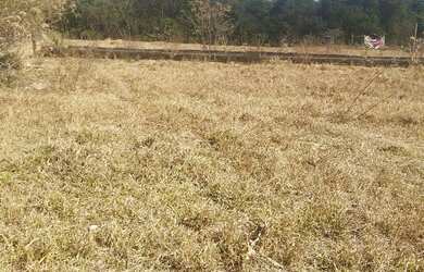 Imagem 10: Venda de lote. 3.500m² de Área