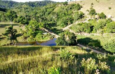 Imagem 5: Linda Fazenda em Ipiaú Bahia