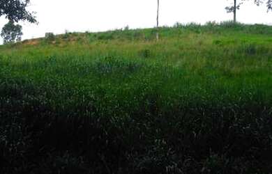 Imagem: O terreno possui 1.220m² de Área e está localizado em Paraíba