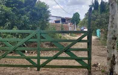 Imagem 3: Fazenda em Manimbu Tibau do Sul - Tibau do Sul