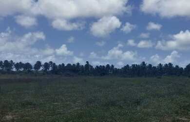 Imagem 10: Fazenda em Manimbu Tibau do Sul - Tibau do Sul