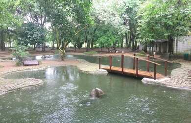 Imagem 4: Terreno 1000m2 planos centro de Vargem Grande legalizado