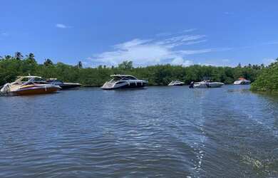 Imagem 6: 160 HECTARES EM CARNEIROS