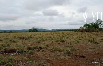 Imagem 10: Fazenda no Município do Peixe-Tocantins, toda formada em pastagem, com...