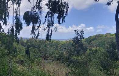 Imagem 4: Fazenda em Manimbu Tibau do Sul - Tibau do Sul