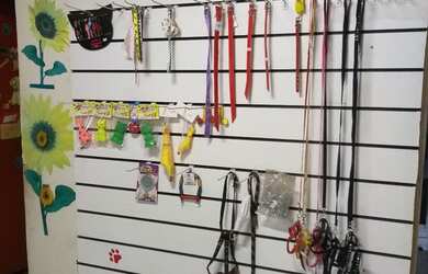 Imagem 4: Pet Shop. 35m² de Áreae2 Vagas na garagem