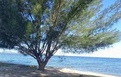 Imagem: A casa possui 5 Dormitórios, 5 Banheiros, 4 Vagas na garagem