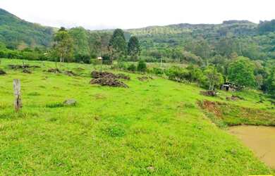 Imagem 16: Sítio / Chácara para Venda em Nova Petrópolis, Linha Riachuelo, 3 dormitórios,...