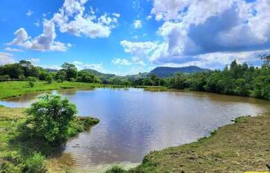 Imagem 13: Sítio / Chácara para Venda em Linha Nova, Linha Nova