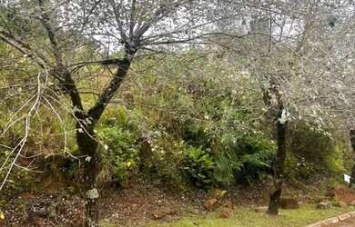 Imagem 10: Terreno - Bairro Vale das Colinas