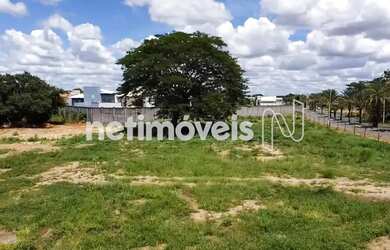 Imagem 9: Venda Lote-Área-Terreno Santa Cruz Janaúba