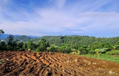 Imagem 6: Terreno para Venda em Nova Petrópolis, Linha Olinda