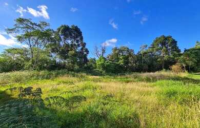 Imagem: O terreno possui 75m² de Área e está localizado em Gramado