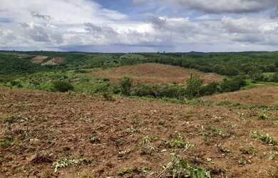 Imagem 5: Sítio localizado no Municípo Sítio do Quinto/BA