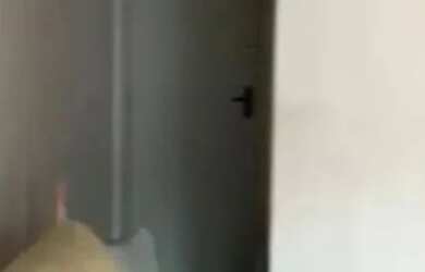 Imagem 8: Apartamento para Venda em Volta Redonda / RJ no bairro Retiro