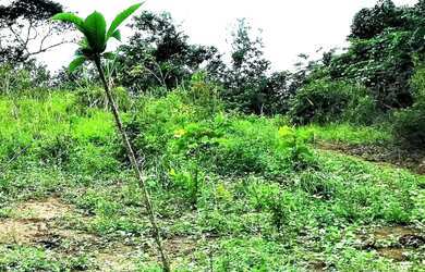 Imagem 5: Fazenda de 280 Tarefas pra fazer