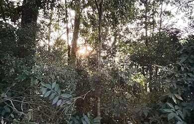 Imagem 16: Terreno à venda, 160 m² por R$ 349.000,00 - Colônia Rio Grande - São...