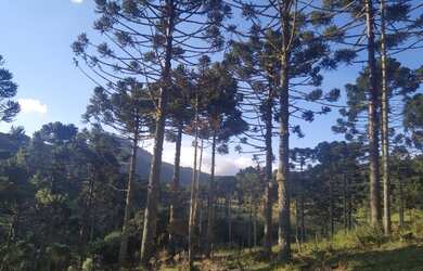 Imagem: O terreno possui 20.000m² de Área e está localizado em Urubici