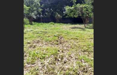 Imagem 9: Terreno 1000m2 planos centro de Vargem Grande legalizado