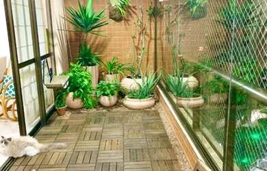 Imagem 3: APARTAMENTO SALVADOR PARALELA