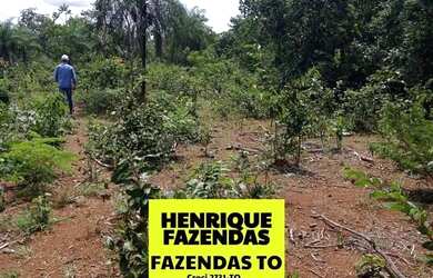 Imagem 4: Fazenda de 274 alqueires plana a 55 mil por alqueires no Tocantins