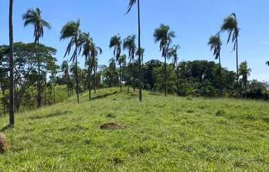 Imagem 15: Fazenda 302 alq. Em são Luiz Goiás e Ivolândia, valor 75 milhões