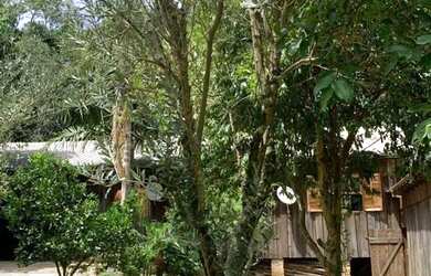 Imagem 12: Sitio - Bairro Tapera. 10.000m² de Área