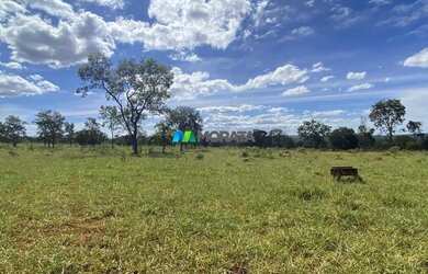 Imagem: A fazenda possui 166m² de Área e está localizado em Angueretá