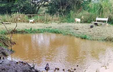 Imagem: A chácara possui 5000m² de Área e está localizado em Jucú