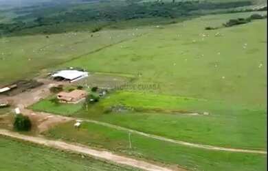 Imagem: A fazenda possui 179m² de Área e está localizado em Niquelândia