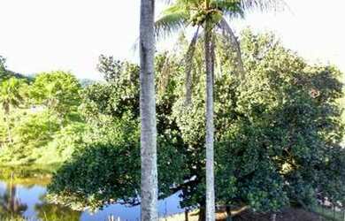 Imagem 3: Linda Fazenda em Ipiaú Bahia