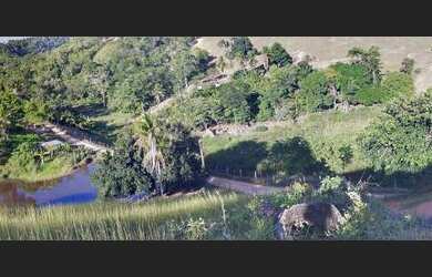 Imagem 2: Linda Fazenda em Ipiaú Bahia