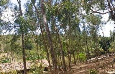 Imagem 2: Fazenda em Manimbu Tibau do Sul - Tibau do Sul