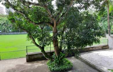 Imagem 5: Lote/Terreno para venda tem 10.OOO metros quadrados em São Cristóvão...