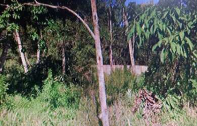 Imagem 3: Terreno borda do campo