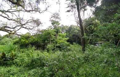 Imagem: O terreno possui 60.000m² de Área e está localizado em Guaratiba