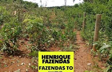 Imagem 11: Fazenda de 274 alqueires plana a 55 mil por alqueires no Tocantins
