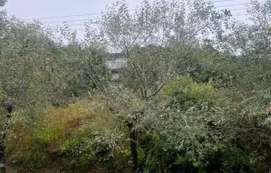 Imagem 8: Terreno - Bairro Vale das Colinas