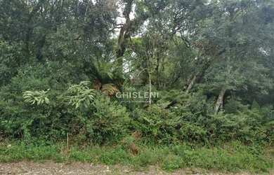 Imagem 6: TERRENO EM CANELA. 646m² de Área