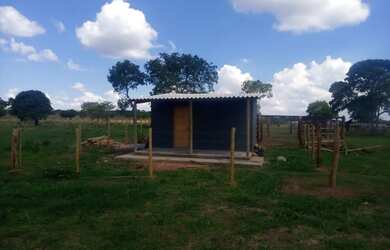 Imagem 12: Fazenda de 625 Hectares de Terras de Cultura e Cerrado Vermelho, Muita...