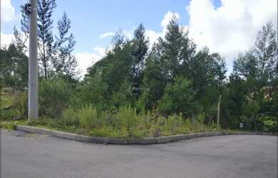 Imagem 2: Terrenos - Diamantino. 314m² de Área