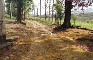 Imagem 10: Vende-se ÁREA Dom Pedro I