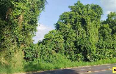 Imagem 4: Sítio / Chácara para Venda em Nova Petrópolis, Canto Ruckert