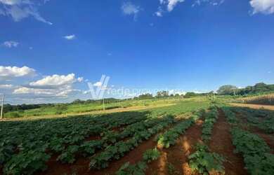 Imagem: O terreno possui 99658m² de Área e está localizado em Betel