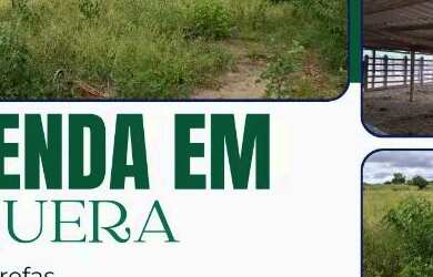 Imagem: A fazenda está localizado em Ibiquera, BA à venda por