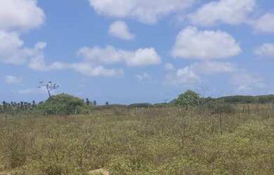 Imagem 15: Fazenda em Manimbu Tibau do Sul - Tibau do Sul